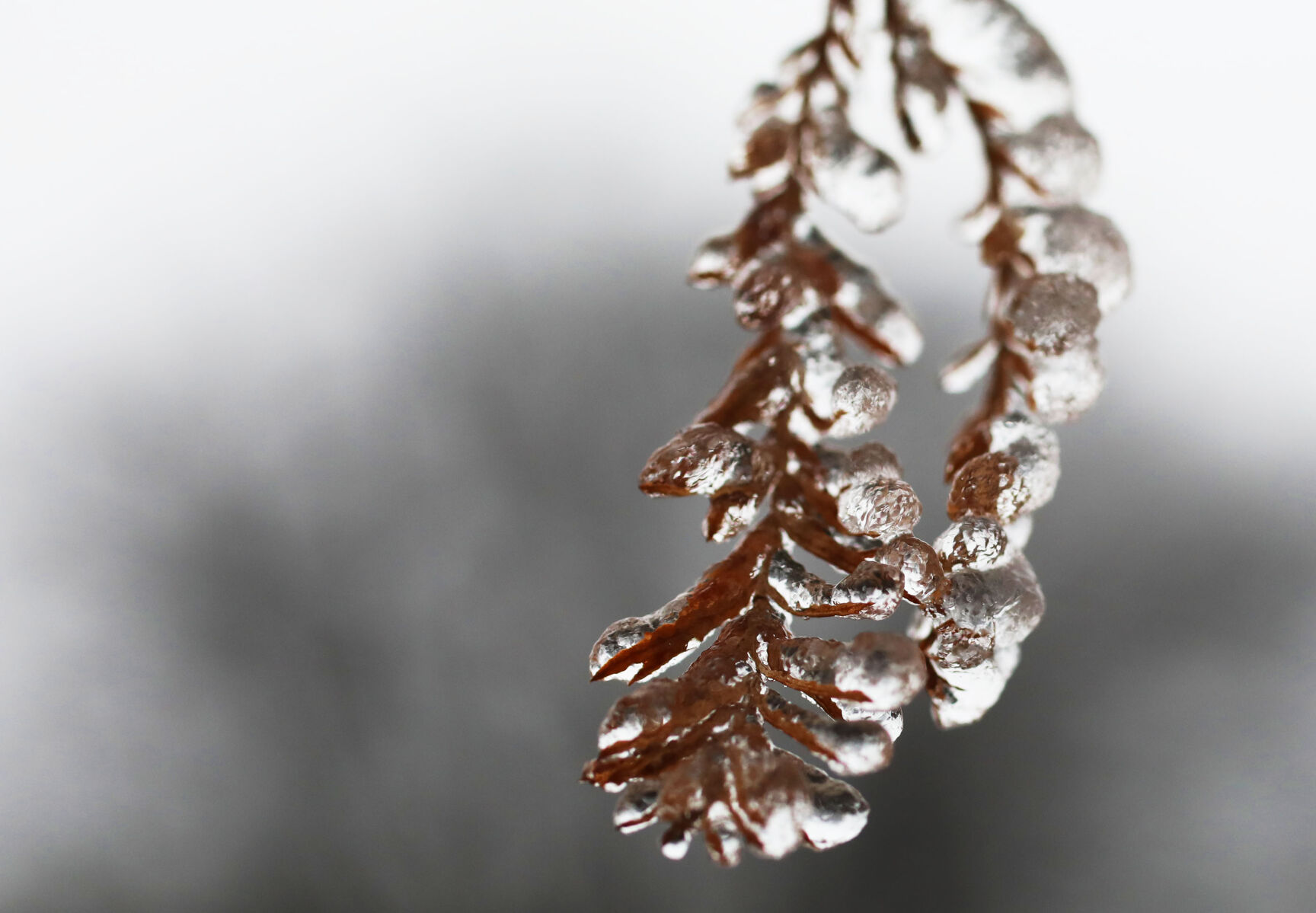 Icy Weather